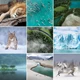 Download Phlearn – Vibrant Nature LUTs for Photo & Video