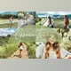 Download Green Tones – Lightroom Presets Pack CreativeMarket-5937840