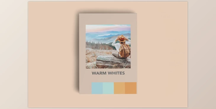 Download WARM WHITES FILM MOBILE LIGHTROOM PR CreativeMarket-5924721 (DNG)