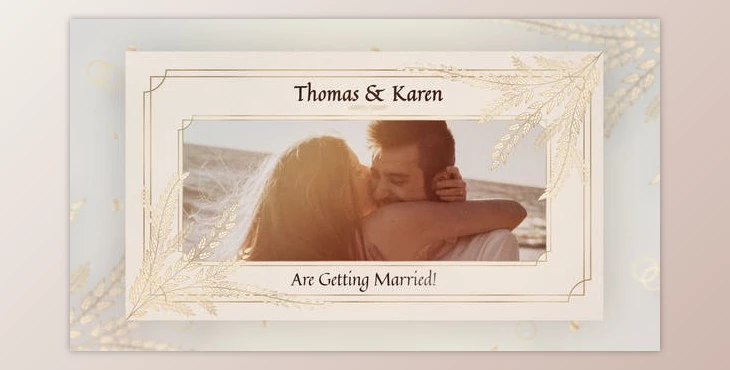 Download Wedding Invitation (Videohive 27636267) - PR Project