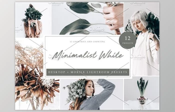 Download 12 Lightroom <span class='badge badge-warning'>Preset</span> Minimalist White CreativeMarket-5962580