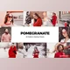 Download 20 Pomegranate Lightroom Presets & LUTs CreativeMarket-5994869 (XMP, DNG, PNG)