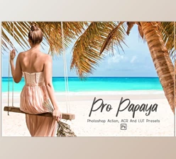 Download 14 Pro Papaya PS Action, ACR LUT CreativeMarket-5958169 (XMP, ATN)