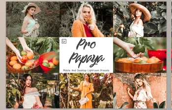 Download 14 Pro Papaya Mobile & Lightroom <span class='badge badge-warning'>CreativeMarket-5958044</span>