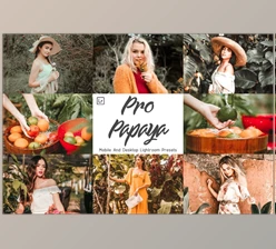 Download 14 Pro Papaya Mobile & Lightroom CreativeMarket-5958044