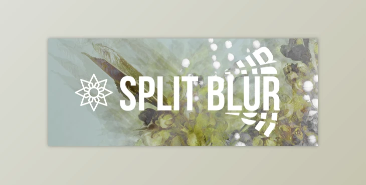 Download Aescripts – Split Blur v1.0.2 for Ae + Serial (Win)