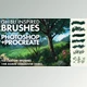 Download ArtStation – Ghibli Inspired Brushes for Photoshop and Procreate (ABR)