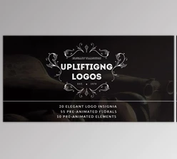 Download Elegant Logo Insignias Pack (Videohive 8468756) - AE Project
