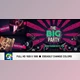 The Big Party Promo (Videohive 3459356)