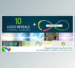 Download Elegant And Simple Logo Pack (Videohive 9178559) - AE Project