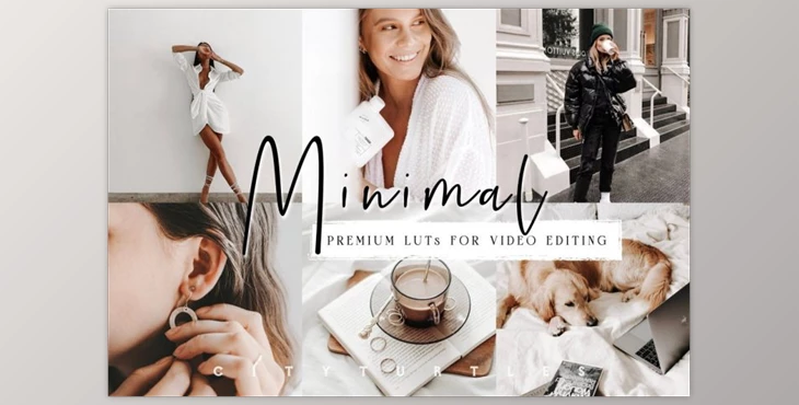 Download Clean Minimal LUTs for Video Editing CreativeMarket-5917244 (Cube)