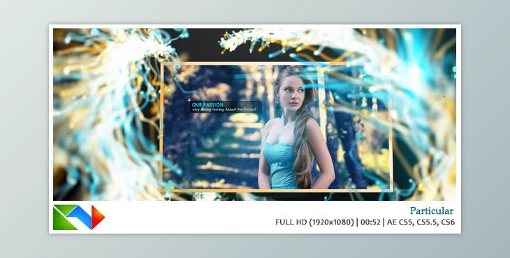 Download Particular (Videohive 4071840) - AE Project