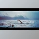 Download Modern Opener (Videohive 20956093) - AE Project