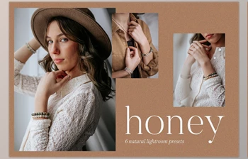 Download Honey Presets by Fern & Oak CreativeMarket-5773098 (<span class='badge badge-warning'>XMP</span>)