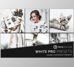 Download WHITE PRO Mobile & Desktop Presets CreativeMarket-5963310 (XMP, DNG)
