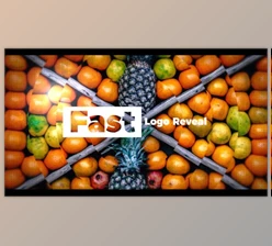 Download Fast Logo (Videohive 20074844) - AE Project
