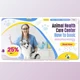 Download Veterinary Care Clinic Center - AE Project Videohive 31403930