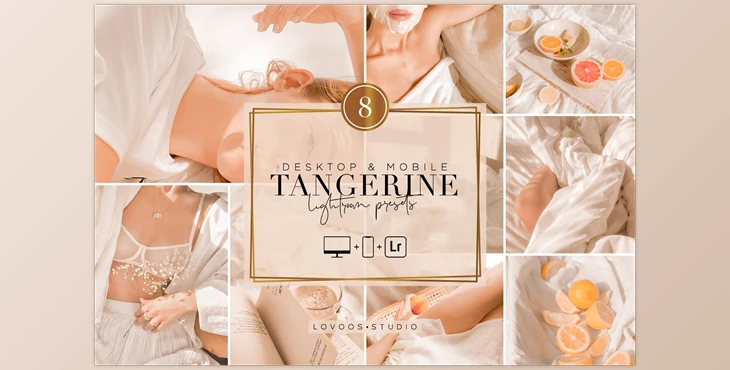 Download TANGERINE – Lightroom Presets CreativeMarket-5954720 (XMP, DNG, LRTEMPLATE)