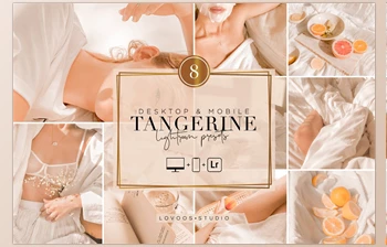 Download TANGERINE – <span class='badge badge-warning'>Lightroom</span> <span class='badge badge-warning'>Presets</span> CreativeMarket-5954720 (XMP, <span class='badge badge-warning'>DNG</span>, LRTEMPLATE)