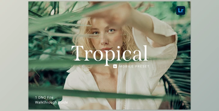 Download Tropical Lightroom Mobile Preset CreativeMarket-5914234 (DNG)