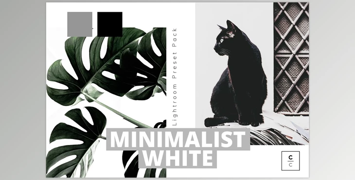 Download Minimalist White Lightroom Preset CreativeMarket-5978148 (XMP, DNG)