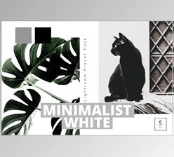Download Minimalist White Lightroom Preset CreativeMarket-5978148 (XMP, DNG)