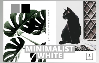 Download Minimalist White <span class='badge badge-warning'>Lightroom</span> Preset CreativeMarket-5978148 (XMP, <span class='badge badge-warning'>DNG</span>)