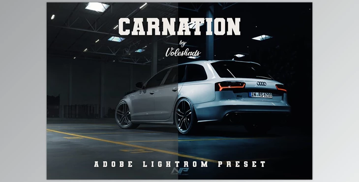 Download Carnation Adobe Lightroom Preset CreativeMarket-5992399 (LRTEMPLATE, DNG, XMP)