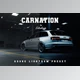 Download Carnation Adobe Lightroom Preset CreativeMarket-5992399 (LRTEMPLATE, DNG, XMP)