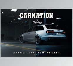 Download Carnation Adobe Lightroom Preset CreativeMarket-5992399 (LRTEMPLATE, DNG, XMP)