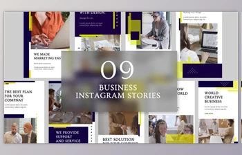 Download Business Instagram Story <span class='badge badge-warning'>B22</span> (Videohive 31015932) - AE Project