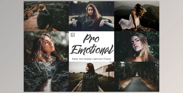 Download 10 Pro Emotional Mobile And Lightroom CreativeMarket-6014478 (LRTEMPLATE, DNG, XMP)