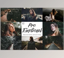 Download 10 Pro Emotional Mobile And Lightroom CreativeMarket-6014478 (LRTEMPLATE, DNG, XMP)
