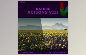 Download Graphicriver – Nature Actions <span class='badge badge-warning'>VIII</span> 17355618 (ATN)