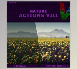 Download Graphicriver – Nature Actions VIII 17355618 (ATN)