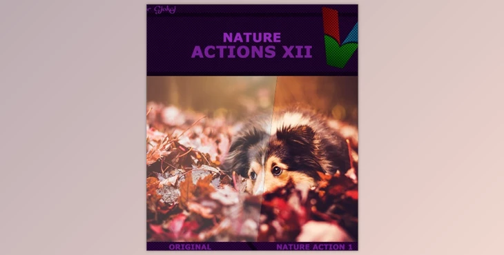 Download Graphicriver – Nature Actions XII 19162546 (ATN)