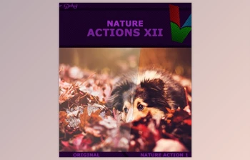 Download Graphicriver – <span class='badge badge-warning'>Nature</span> Actions XII 19162546 (ATN)