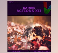 Download Graphicriver – Nature Actions XII 19162546 (ATN)