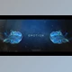 Download Inspiring Titles l Space Particles (Videohive 25283037) - AE Project