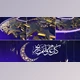Download Eid & Ramadan Opener (Videohive 23464437) - AE Project