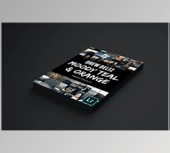 Download Lightroom Mobile Moody Teal & Orange CreativeMarket-5972019 (DNG)