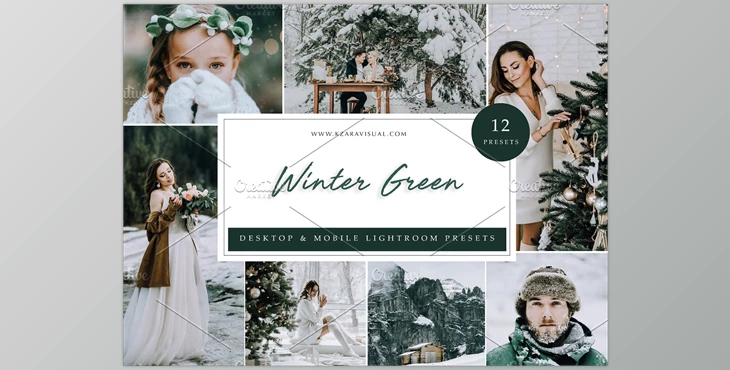 Download 12 x Lightroom Presets, Winter Green CreativeMarket-5962772 (LRTEMPLATE, XMP, DNG, JPG)