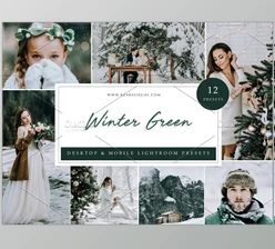 Download 12 x Lightroom Presets, Winter Green CreativeMarket-5962772 (LRTEMPLATE, XMP, DNG, JPG)