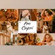 Download 7 Pro Capri Mobile and Lightroom CreativeMarket-6044639 (LRTEMPLATE, DNG, XMP)