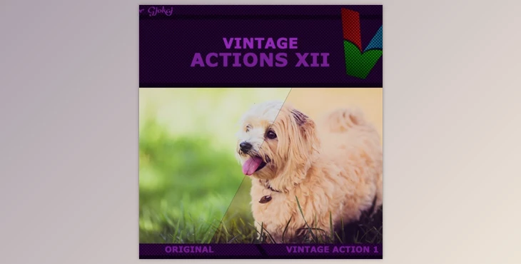 Download Vintage Actions XII Graphicriver 19187152 (ATN)