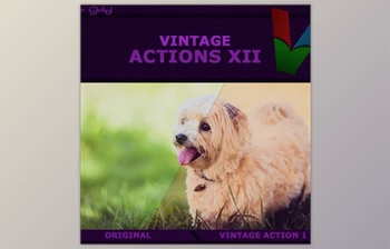 Download Vintage Actions <span class='badge badge-warning'>XII</span> Graphicriver 19187152 (ATN)