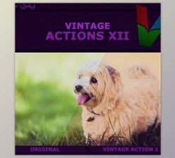 Download Vintage Actions XII Graphicriver 19187152 (ATN)