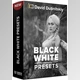 Download David Dubnitskiy – 20 B&W PRESETS (XMP)