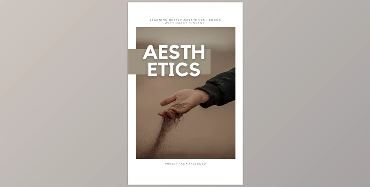 Download Drake Vincent – Building A Better Aesthetic Ebook + Presets (XMP)