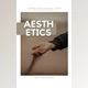 Download Drake Vincent – Building A Better Aesthetic Ebook + Presets (XMP)